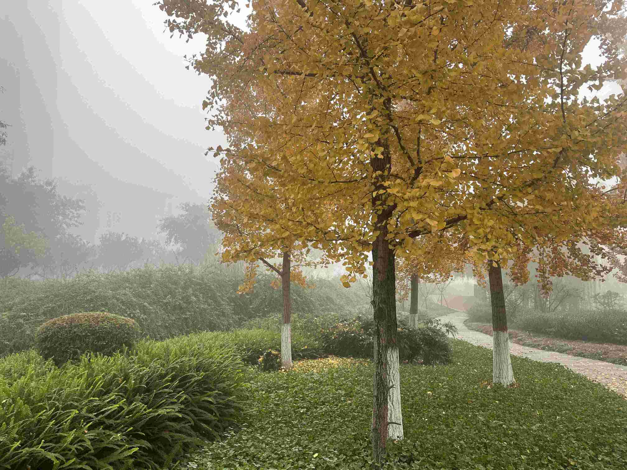 �M��ζ�٣��䌍��������ʯ�ʹ�W(xu��)�Ķ���