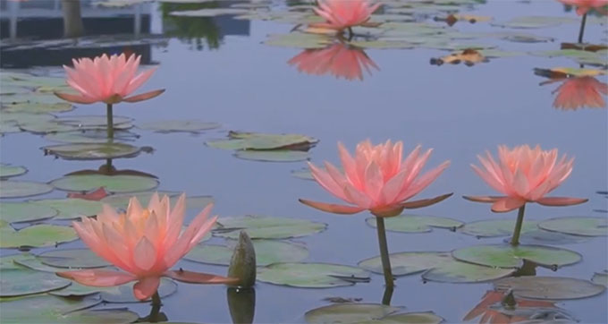 У�T�ڵ�˯ɏ׌�Ĵ����ՌW(xu��)Ժ׃������������