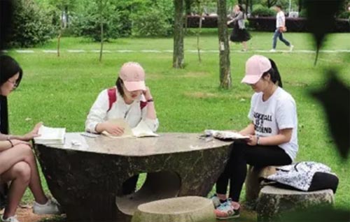 ��׌���Ąӵı����Z�����ӂ������W�W��