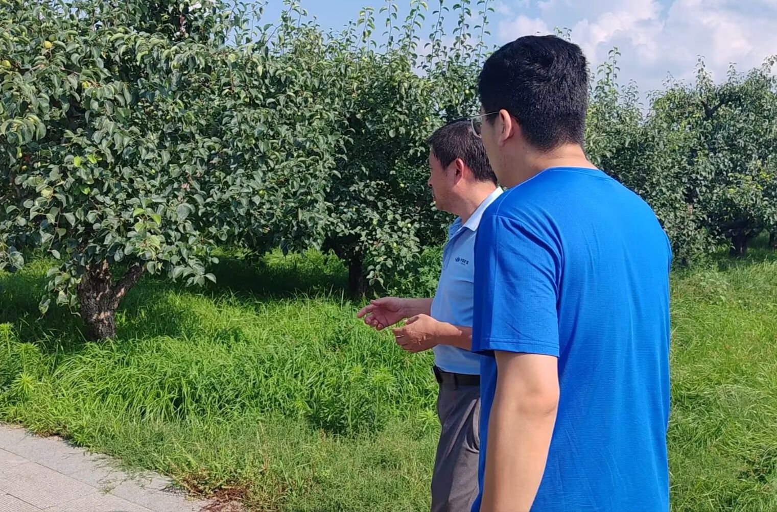 �ഺ����(m��ng)�l(xi��ng)�����d���Xɽ�����l(xi��ng)��(sh��)�`�F(tu��n)̽�����l(xi��ng)�l(f��)չ��·��