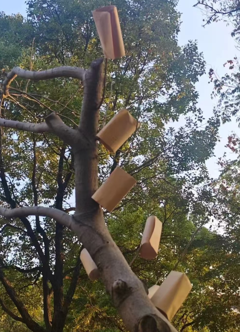 ����ؔ����WVR�WԺ����ʮ���ÌW�g���A�M�Y��