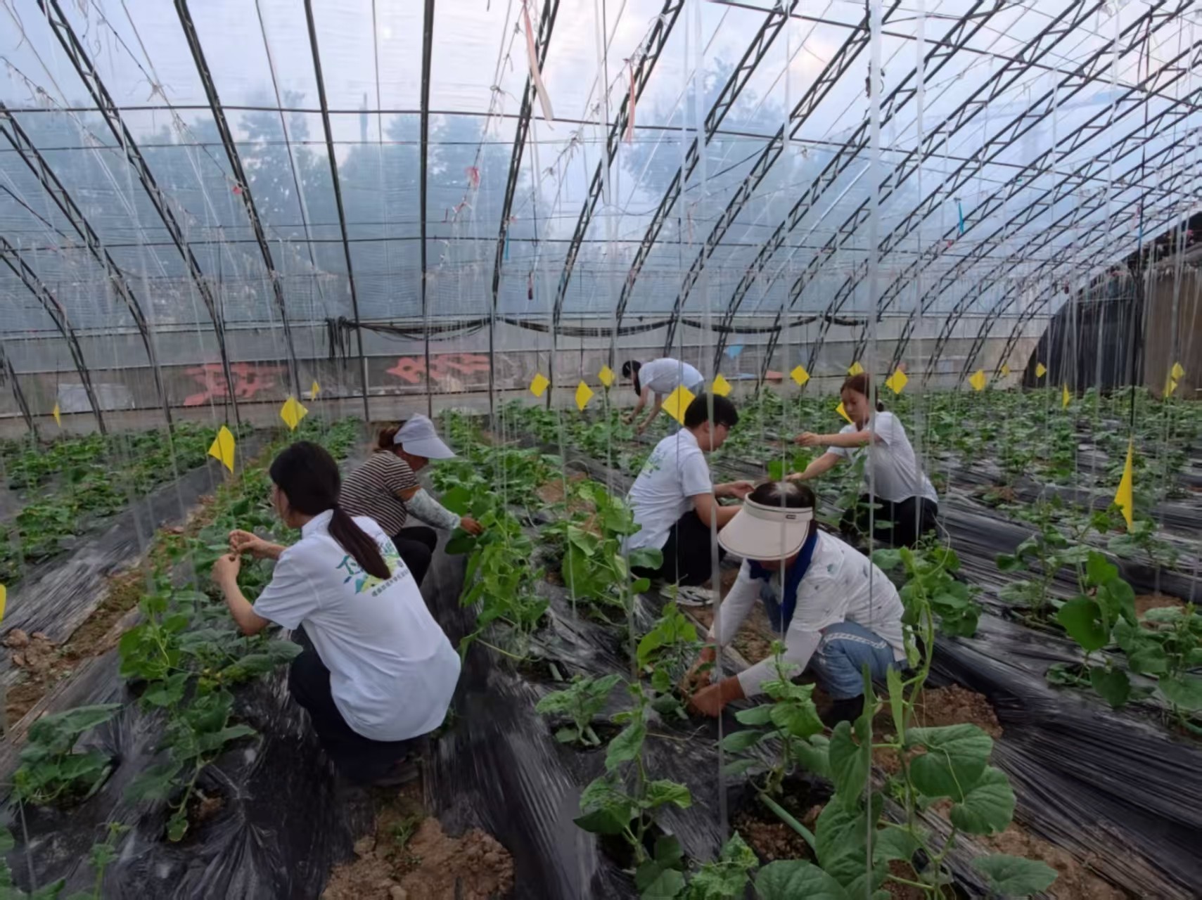 �N�Ϗ�о�������l��-������������Ƽ����磬�����̎�����҂��ഺ�Ĵ�