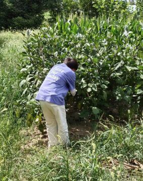 ���ڌ��`���p�����𡱣� ��@�����c��^�Ļ��������ഺ���