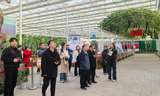 ����������W�������۰��^�_չ������`�ߴ�W���۰��л��