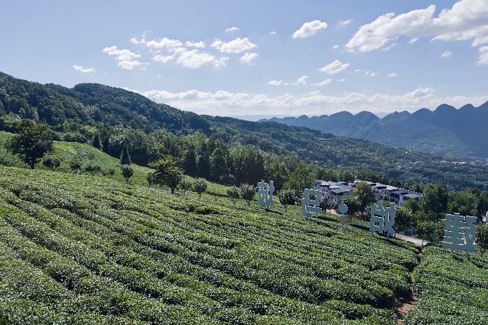 ̽����R�£���Դ�Nֲ��������a�a�N����